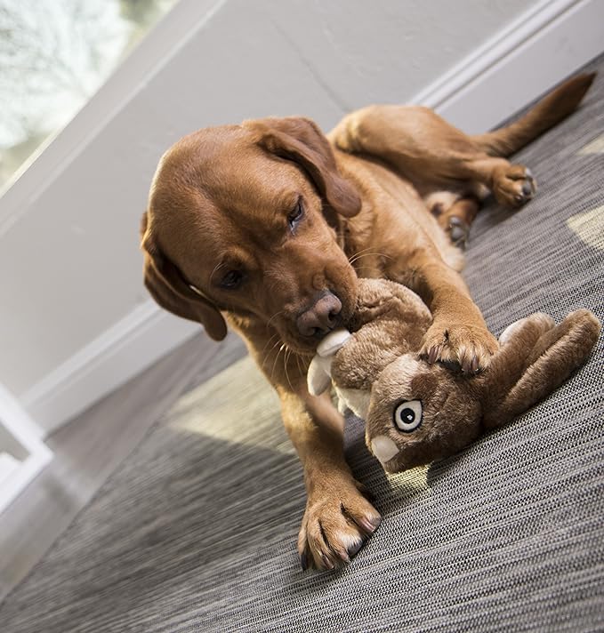 goDog Wildlife Rabbit Squeaky Plush Dog Toy with Chew Guard Technology, Durable Fabric & Squeaker for Active Play, Brown, Large