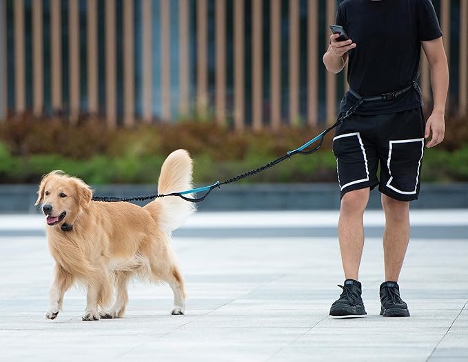 iYoShop Hands Free Dog Leash with Zipper Pouch, Dual Padded Handles and Durable Bungee for Walking, Jogging and Running Your Dog (Large, 25-120 lbs, True Navy)