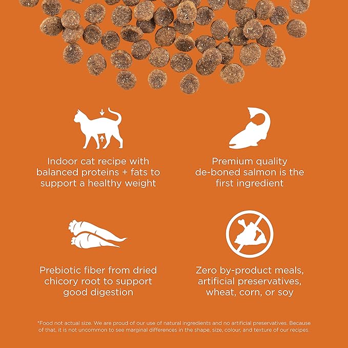 Go! Solutions Skin + Coat Care Salmon Grain-Free Dry Cat Food, Chicken-Free, Healthy Kibble with Omega-3s & 6s for Soft, Shiny Fur, for Kittens, Adults, & Seniors, 3 lb Bag