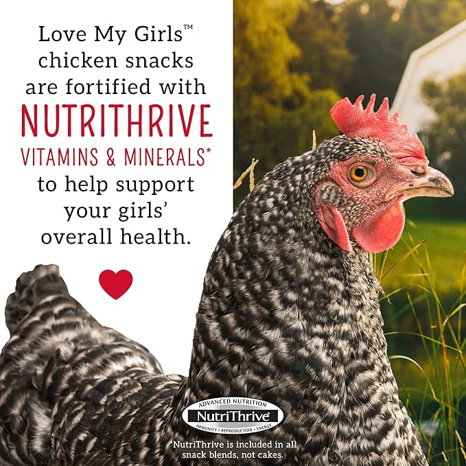 Love My Girls: Chicken Snacks - Pumpkin & Worms - 2lb Bag - Global Harvest, Gourmet Multi-Grain Treats, Corn-Free, Nutritious & Protein Rich Mealworms