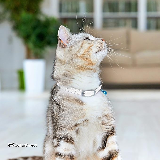 CollarDirect Leather Cat Collar with Removable Bell – Safety Elastic Strap (Breakaway Alternative) – Kitten Collar for Small & Big Boy & Girl Cats