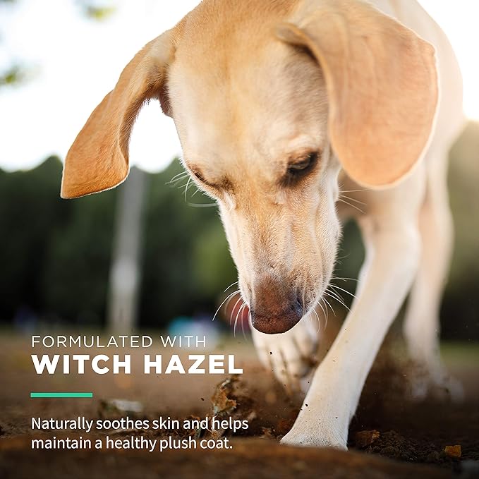 Wet Ones for Pets Extra Gentle Dog Wipes with Witch Hazel for Snout, Eye, Ear - Fragrance-Free Wipes for Dogs with Wet Lock Seal, 30 Count - 8 Pack