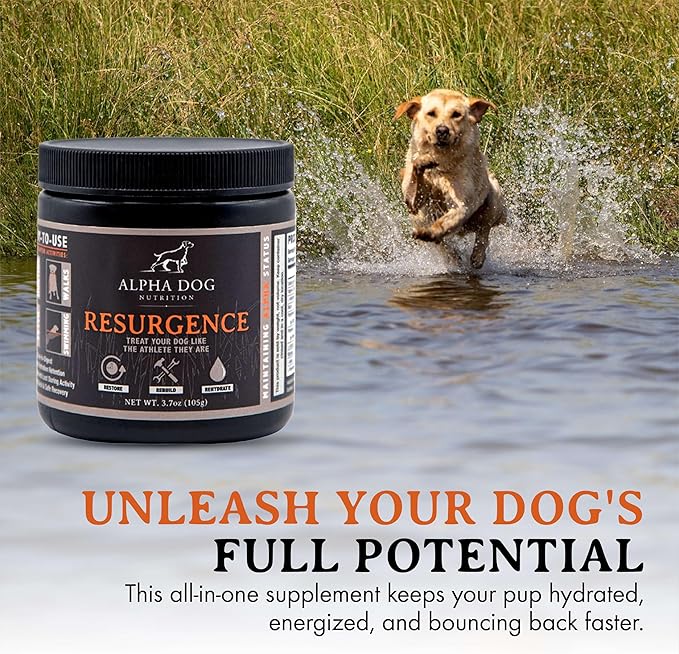 Alpha Dog Nutrition Electrolytes for Dogs - PhD Formulated Hydration Supplement with Beef Flavor for Active Canines - Versatile Powder for Dehydration Recovery and Stamina