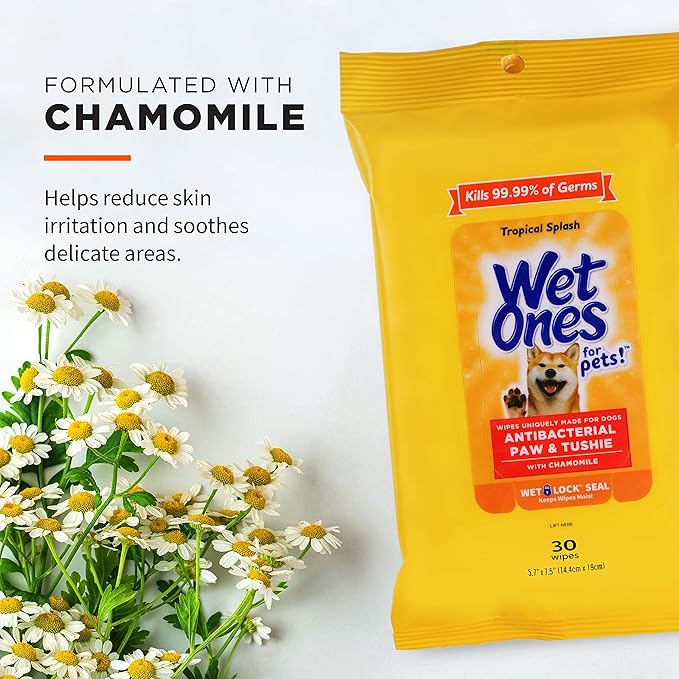 Wet Ones for Pets Paw & Tushie Dog Wipes with Chamomile, Tropical Splash Scent - Cleansing Wipes for Paws and Butt Between Baths with Wet Lock Seal, 30 Count - 8 Pack