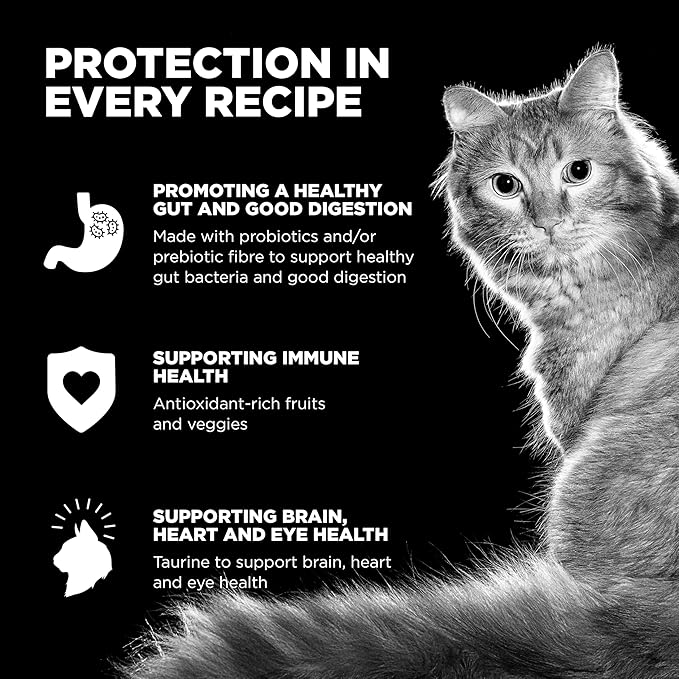 Go! Solutions Carnivore Chicken, Turkey + Duck Grain-Free Dry Cat Food, Our Highest-Protein Kibble Made with Real Meat & Fish, Cranberries for Urinary Health, for Kittens, Adults & Seniors, 3 lb Bag