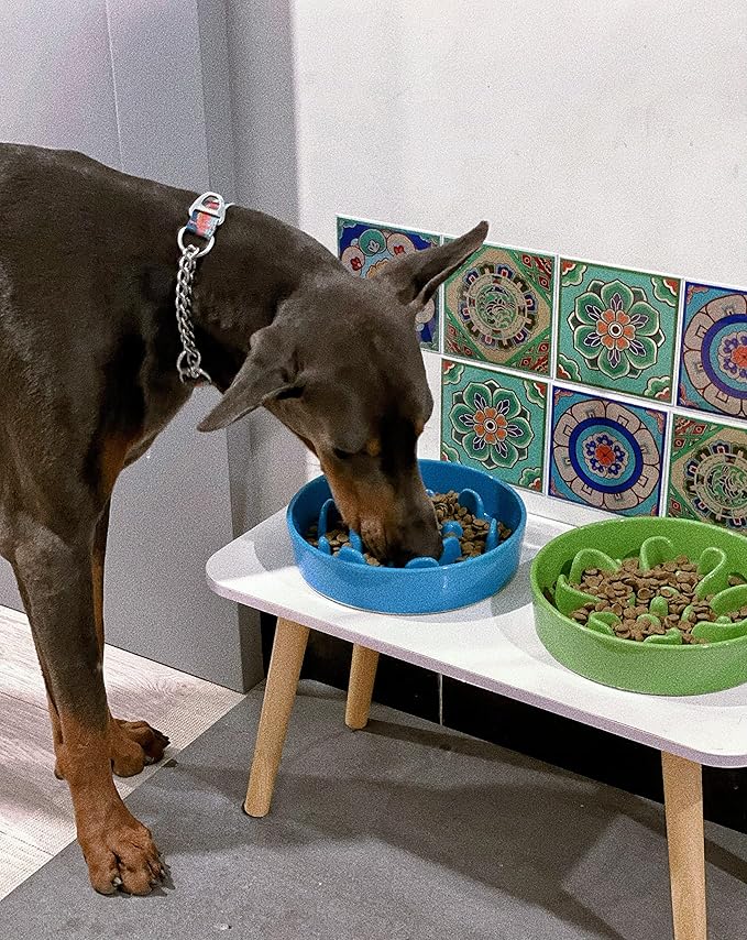 LE TAUCI Slow Feeder Dog Bowls Ceramic, 1.5 Cups Dog Food Bowl, Puppy Slow Feeder Dish for Fast Eaters, Clover Green