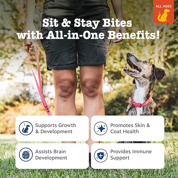 Zesty Paws Training Treats for Dogs & Puppies - Dog Treats for Training - Healthy Dog Chews for Hip, Joint & Muscle Health - for All Breeds and Ages - PB Flavor - 8oz