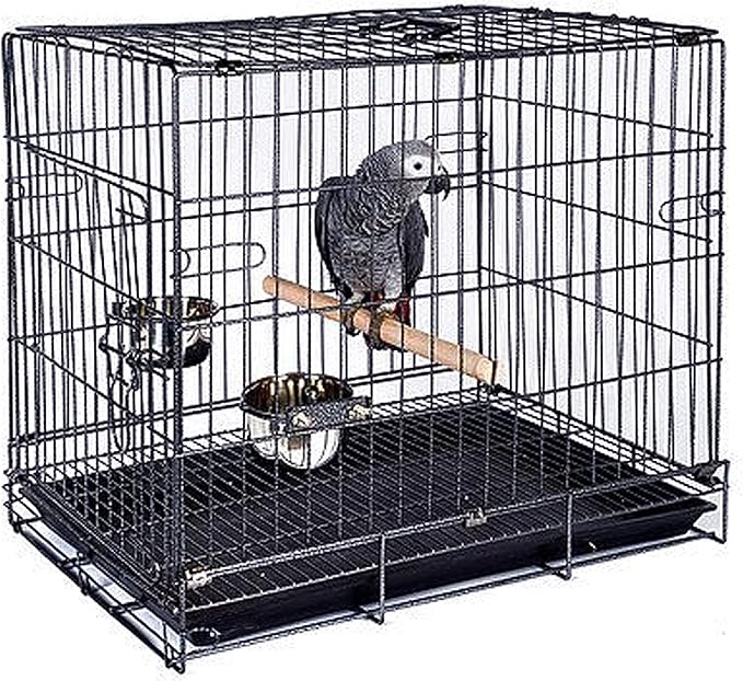 Durable Easy Portable Collapsible Metal Travel or Veterinary Collapsable Parrot Bird Carrier Bite-Proof Easy Clean Carrier Cage with Stainless Steel Feeder Bowls Natural Wooden Perch