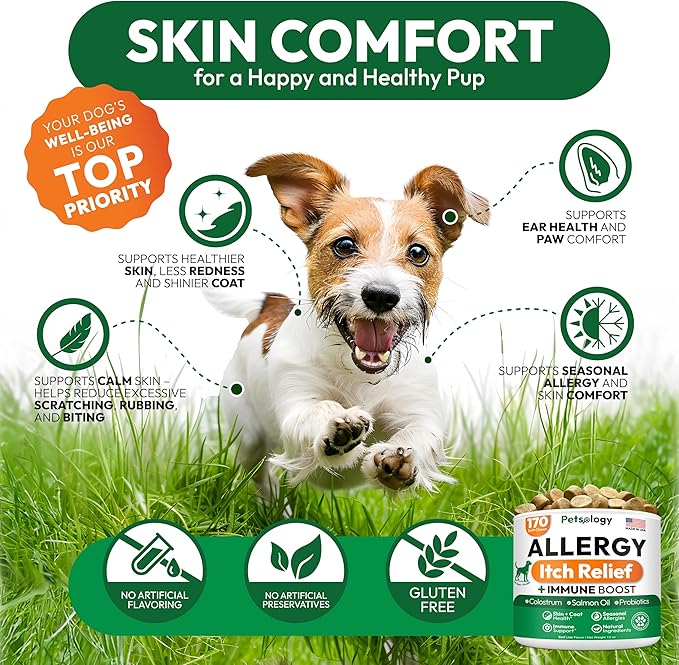 Dog Allergy Relief Chews - 170 Dog Allergy Chews - Itch Relief for Dogs - Omega 3 Fish Oil, Probiotics For Itchy Skin & Hot Spots Allergies, Paw Licking, Dry Skin & Coat Supplement - Beef Liver Flavor