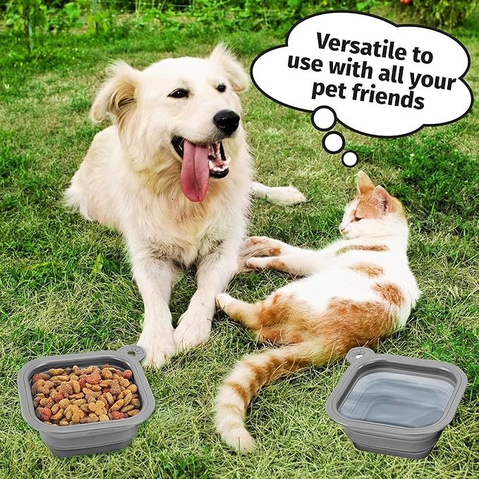 Mobile Dog Gear Small Collapsible Dog Water Bowls for Travel (Set of 2, 2 Cups Each) - Portable Foldable Bowl for Feeding Pets, Cats & Dogs - Easy to Clean Silicone Dish, Great for Camping & Traveling