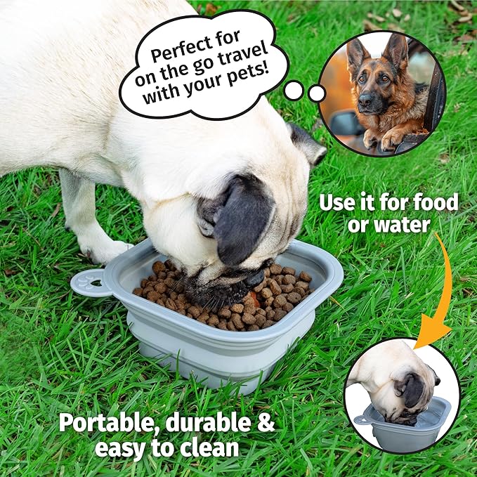 Mobile Dog Gear Small Collapsible Dog Water Bowls for Travel (Set of 2, 2 Cups Each) - Portable Foldable Bowl for Feeding Pets, Cats & Dogs - Easy to Clean Silicone Dish, Great for Camping & Traveling