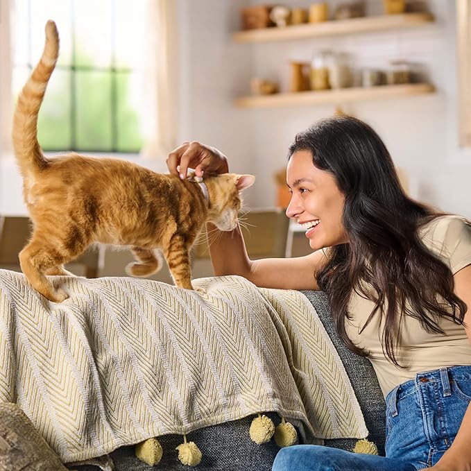 Meow Mix Original Choice Dry Cat Food, 22 Pound Bag