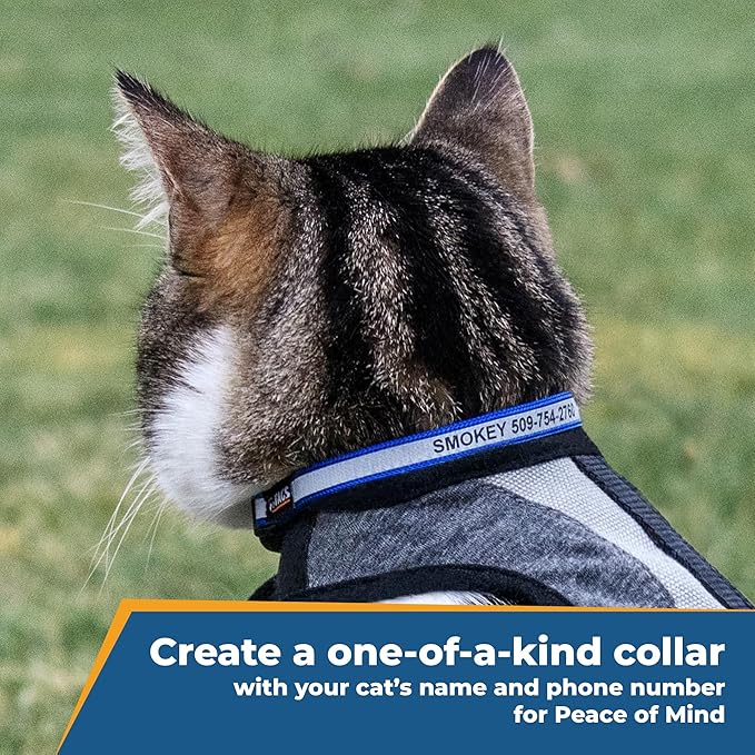 GoTags Personalized Reflective Cat Collars, Engraved Custom Cat Collar with Name and Phone Identification, Breakaway Collar with Safety Release Buckle and Bell, Adjustable for Cats and Kitten, (Red)