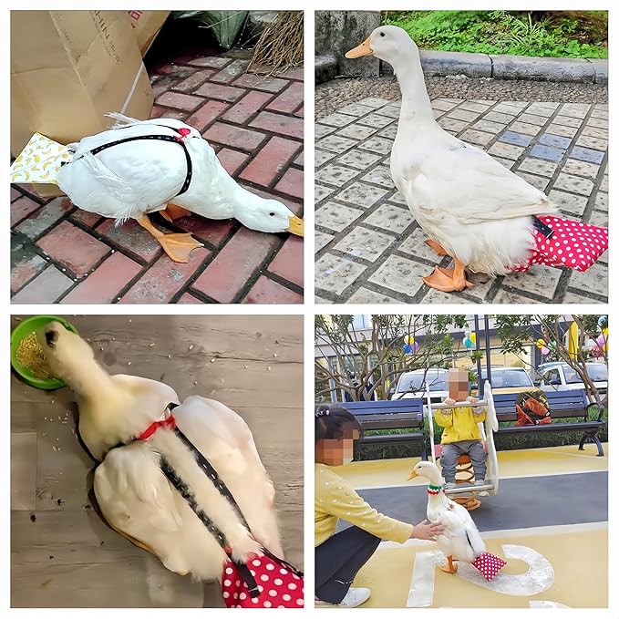 2 Pack Chicken Diapers for Hens, Roosters, Diapers for Ducks, Ducklings, Reusable Pet Diaper with Bow Ties Waterproof Poultry Nappies for Geese Pet Ducks,Red Polka Dots&Banana,L