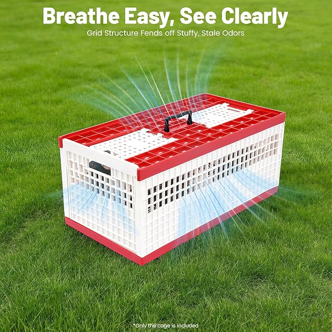Plastic Foldable Pigeon Carrier Cage, Racing Pigeon Carrier Box with Handle 23.6"X12.2"X10.2" Portable Bird Travel Carriers Cage Bird Training Basket with 2 Side Doors and 2 Top Department