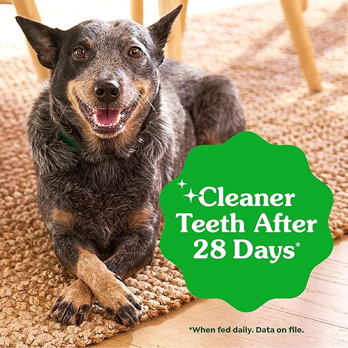 Greenies Dog Treats, Veterinarian-Recommended Natural Dental Dog Treats, Large Size, Mint Flavor, 12 oz. Pack, 8 Count