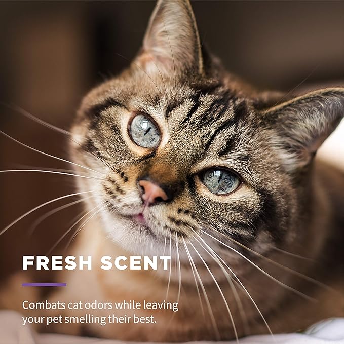 Wet Ones for Pets Freshening Multipurpose Wipes for Cats with Aloe Vera, Fresh Scent - Easy to Use Cat Cleaning Wipes for Pet Grooming, 100 Count