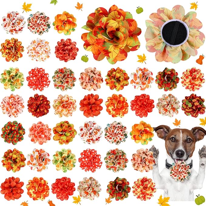 50 Pieces Fall Thanksgiving Dog Collar Flowers Bulk Maple Leaves Dog Charms Grooming Accessories Bow Tie Flower for Pets Cat Collar Attachment Embellishment Autumn Party Costume Photo Props