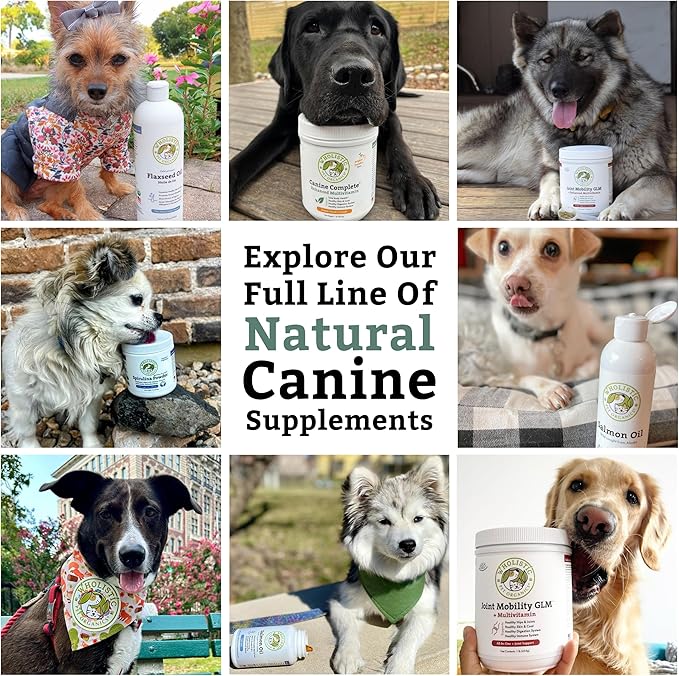 Wholistic Pet Organics Canine Complete - Dog Multivitamin Powder - 8 oz - Daily Dog Vitamins and Supplements for Homemade Food - Immune System, Skin, Coat & Overall Health - All Breeds - 22 Scoops