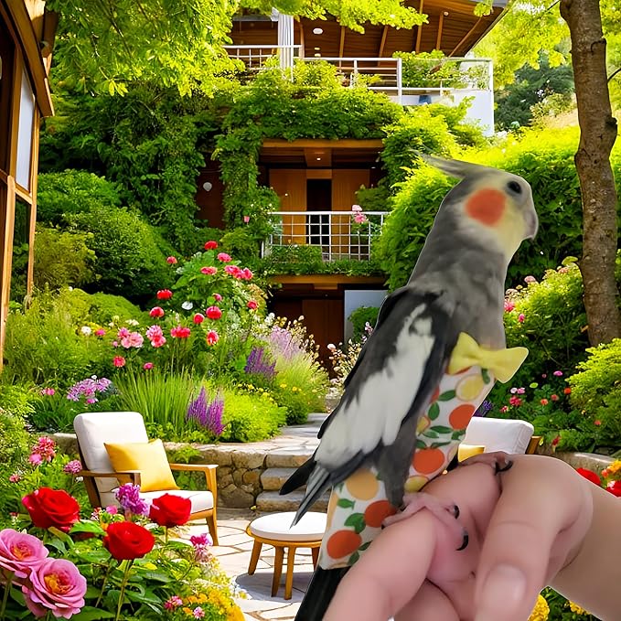 2Pcs Bird Diapers Bird Harness Flight Suits Diapers with 2Pcs 80 Inch Flying Leash Parrot Nappy Pigeon Pants Urine Wet Suit for Cockatiel Conure Macaw Budgies Parakeet-Watermelon&Orange
