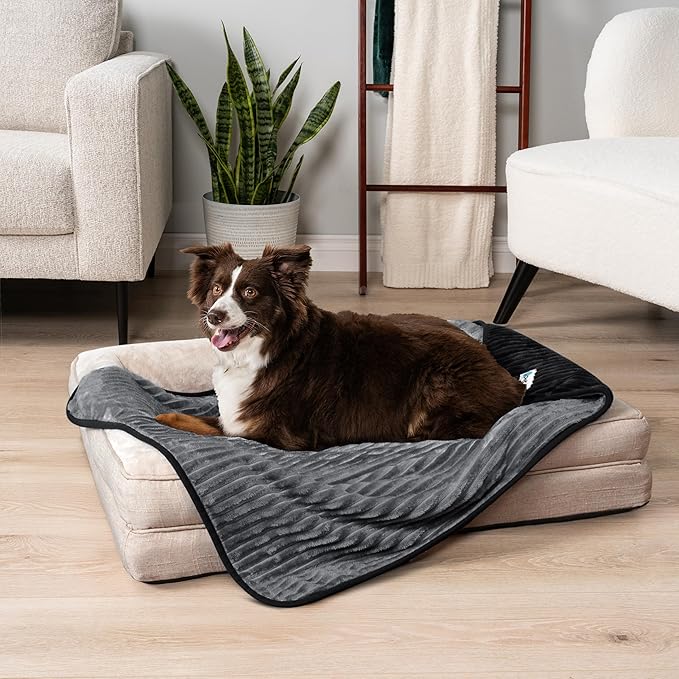 PetAmi Waterproof Dog Blanket, Leakproof Pet Blanket for Small Medium Large Dogs, Reversible Furniture Bed Sofa Couch Cover Protector, Plush Striped Pet Throw for Indoor Cat, 60x80 in, Black Grey