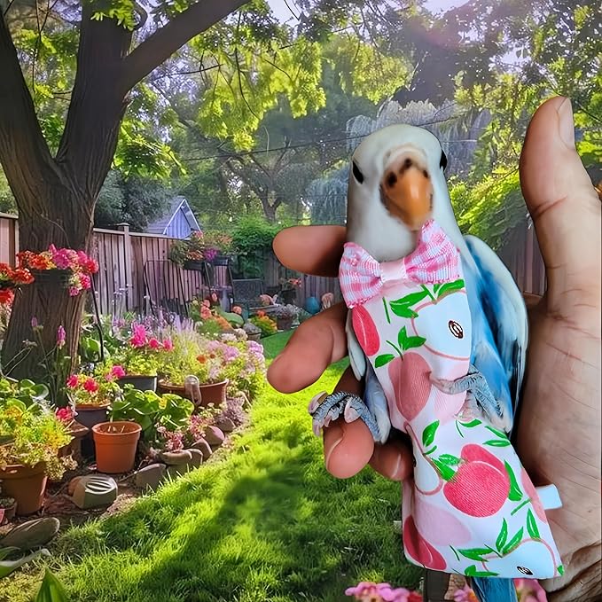 2 Pcs Bird Diapers Bird Harness Flight Suits Diapers with 80in Flying Leash Reusable Parrot Nappy with Waterproof Inner Layer for Cockatiel Budgie Conure Parakeet Lovebird-Apple&Pineapple