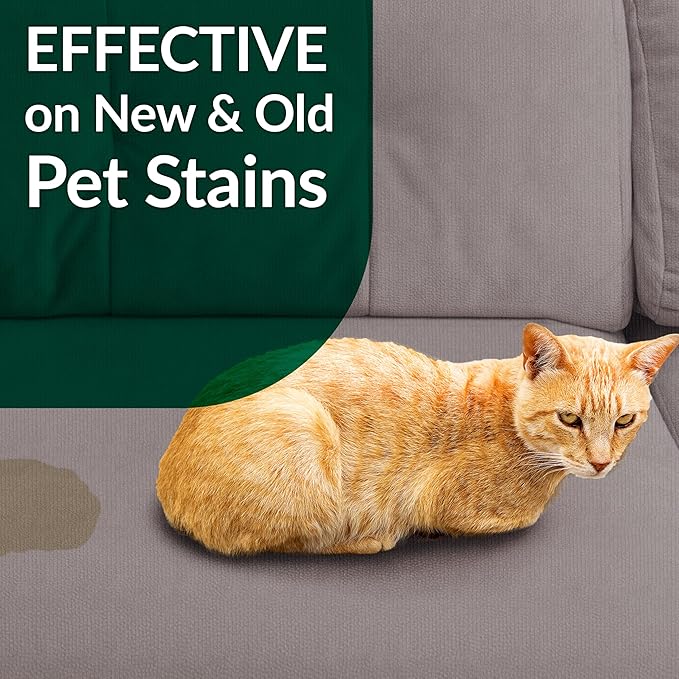 Cat Stain & Odor Remover - Enzyme Cleaner for Cat Urine, Feces, Blood, Vomit (1 gallon Refill)