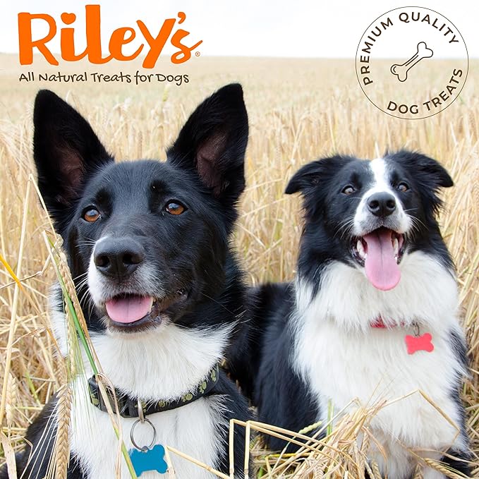 Riley's Pill Wrap for Dogs - Delicious Peanut Butter Flavored Pill Paste for Dogs - Wrap Pills, Capsules, Tablets in a Pocket or Pouch to Mask The Taste & Make Pill Time Easy - 8 oz (Pack of 2)