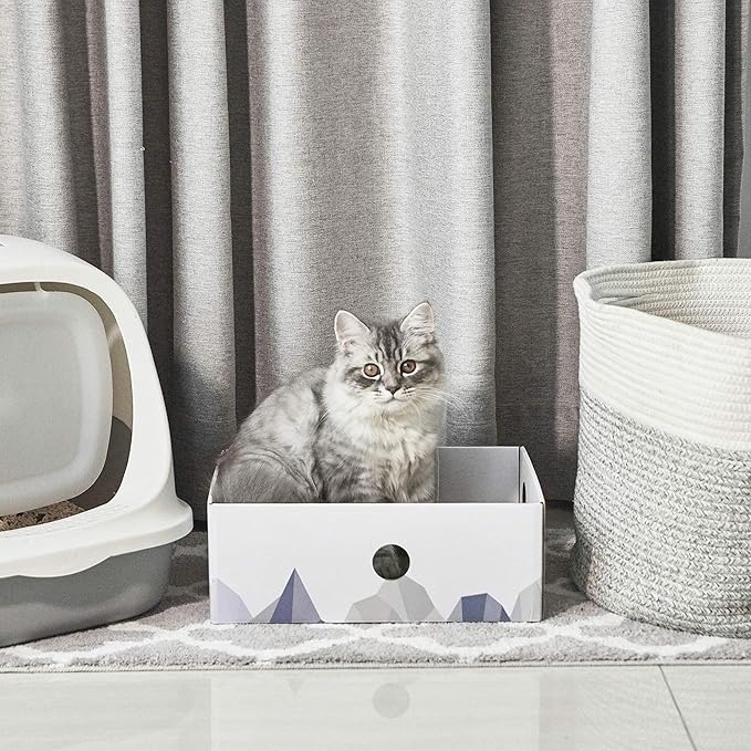Conlun Cat Scratcher Box with Heavy-Duty Double-Sided Cardboard Pad, Cardboard Lounger, Cat Bed for Indoor Cats, Interactive Hole Design, Large - 5 Pack, White