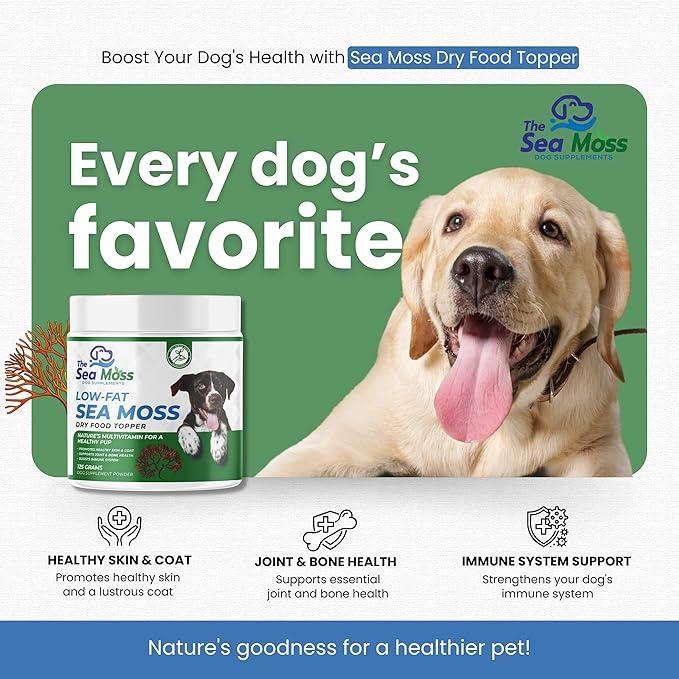 The Sea Moss Low-Fat Dog Supplement Powder, Dry Food Topper - Multivitamin Supports Skin, Coat, Joints, Digestion & Immune Health - Vitamins & Minerals – All Breeds & Sizes - 125 Grams