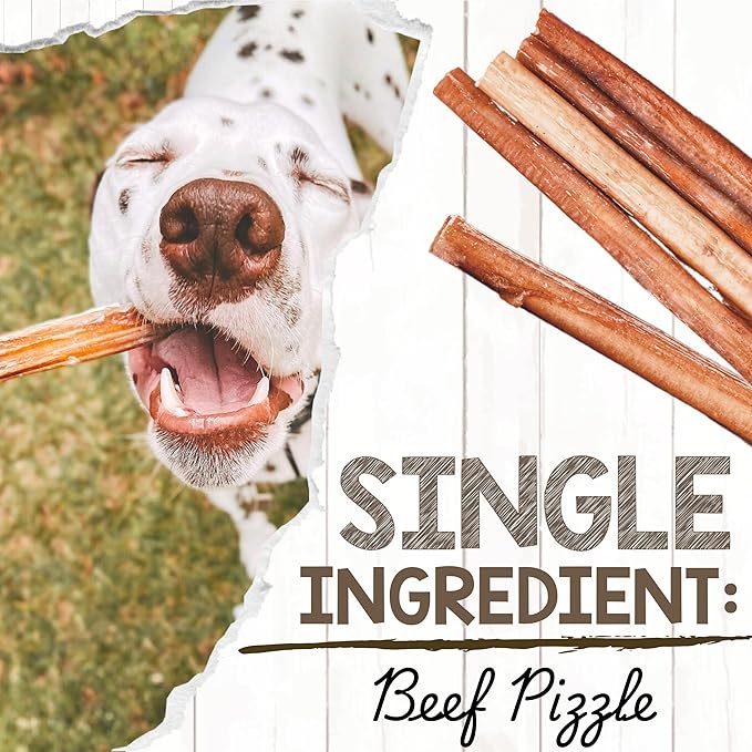 Nature Gnaws Bully Sticks for Dogs 11-12" (1Lb) - Mixed Thickness - Long Lasting for Aggressive Chewers and Large Dogs - Natural Beef Dog Chew Bones