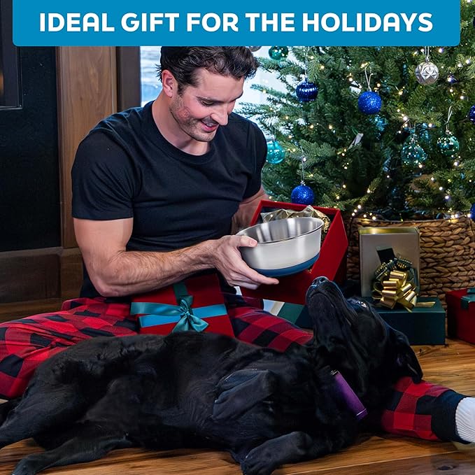 Master Pet Supply Stainless Steel Dog Bowls Set of 2 with Extra Thick Silicone Base - 4 Cup (32 oz) Crimson Red, Non-Slip, Dishwasher Safe Metal Bowls, Pet Dog Food Bowl for Dogs, Cats, Anti Rust