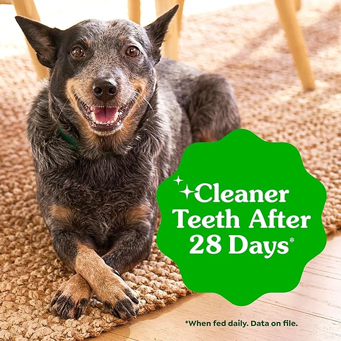 Greenies Veterinarian-Recommended Adult Natural Dental Dog Treats Teenie Size, Dog Dental Chews, Original Flavor, 6 oz. Pack, 22 Count
