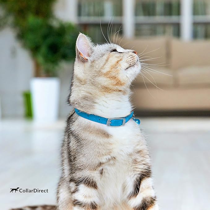 CollarDirect Leather Cat Collar with Removable Bell – Safety Elastic Strap (Breakaway Alternative) – Kitten Collar for Small & Big Boy & Girl Cats