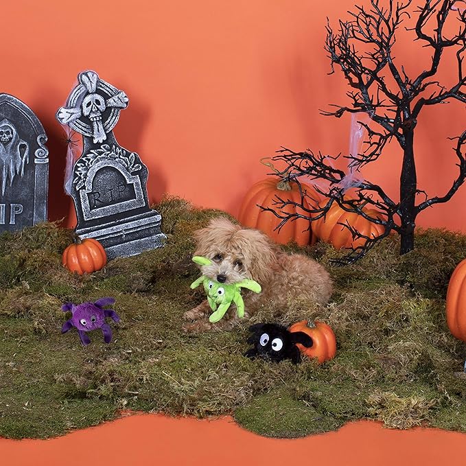 Fringe Studio, Creepy CRAWLY Spiders, Small Plush Dog Toy 3PCS Set, PetShop Collection (289479)