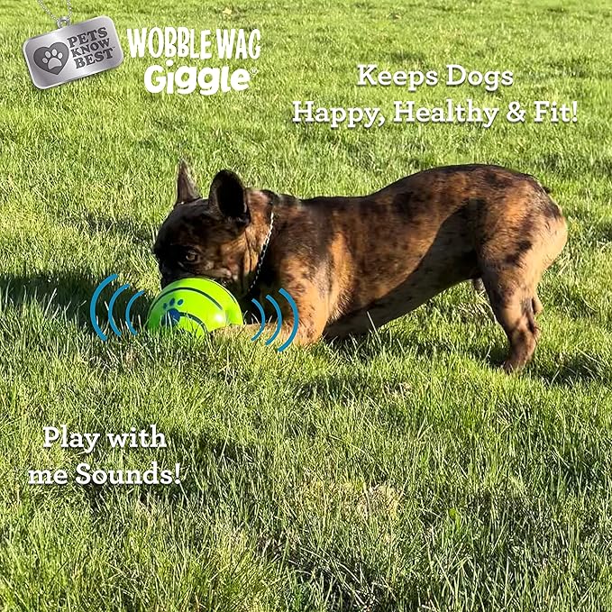 Wobble Wag Giggle Ball | Rolling Enrichment Toy for Fun Playtime, Interactive Play for Indoor or Outdoor, Keeps Dogs & Puppies Large, Medium or Small Busy & Moving, As Seen on TV | Pack of 1