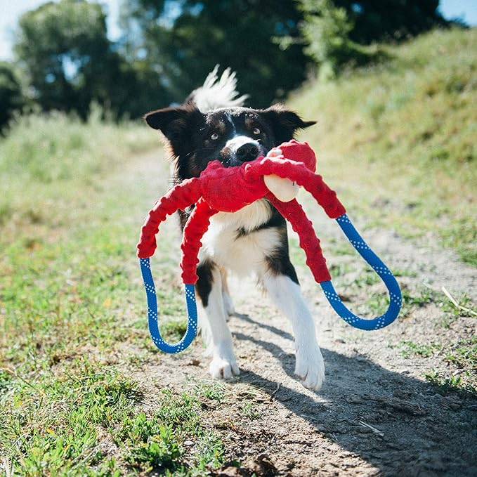 ZippyPaws RopeTugz - Durable Dog Pull Rope Toy, Interactive Tug of War for Large, Medium, & Small Dogs, Squeaky Pet Products to Keep Them Busy, Made with Heavy Duty Climbing Rope - Red Monkey