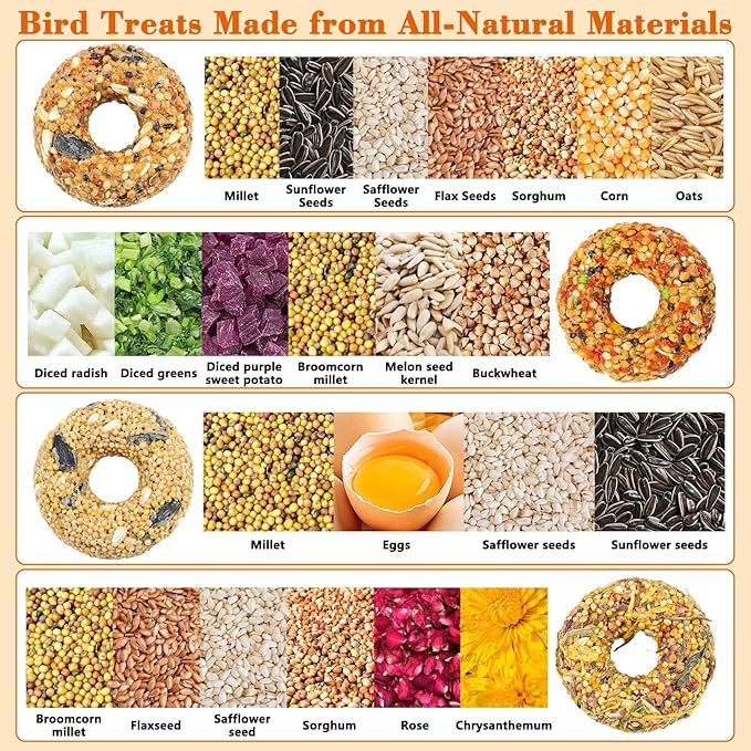 Fhiny 4 PCS Parakeet Treats, Donut Shaped Natural Grain Cockatiel Food with Fruits Vegetables Flowers and Herbs Bird Chew Toys for Parrot Conure Lovebird Training Rewards and Beak Grinding