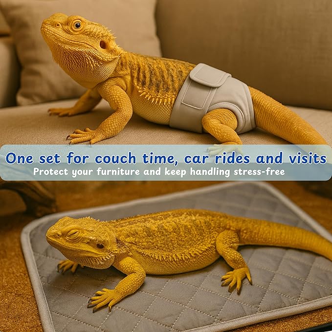 Bearded Dragon Diapers Bedding Mat Accessories, Adjustable Diaper, 2pcs Cleaning Mat for Picnic Travel, Bearded Dragon Diapers Accessories Reusable Pad, Reptile Carrier Essentials (2 Reusable Pad)
