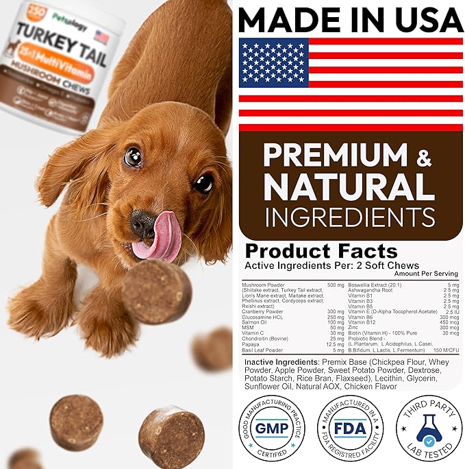Turkey Tail Mushroom for Dogs - 250 Chews - Lion’s Mane - Shiitake - Reishi - Buddy Immune Support Guard - Lipoma Mushroom Supplement for Dogs Lumps and Bumps Glucosamine, Health Vitamins Multivitamin