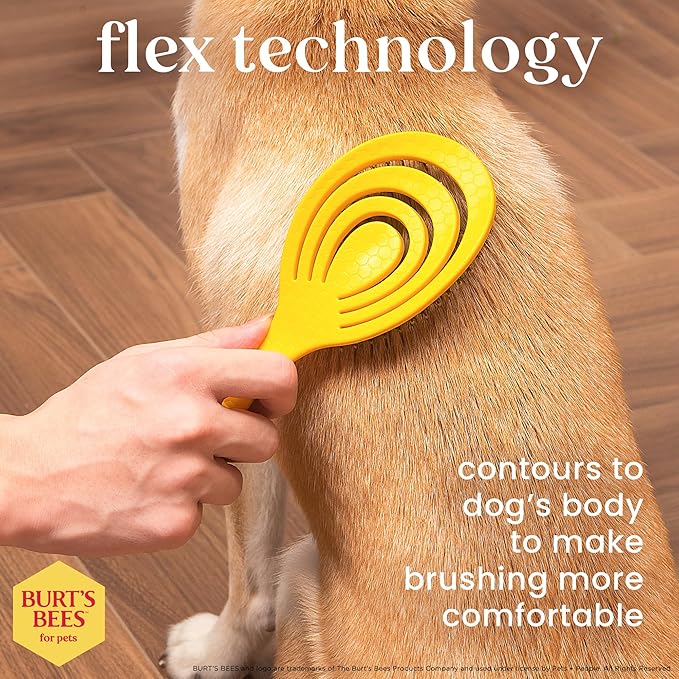 Burt’s Bees for Pets Porcupine Bristle Brush for Large Dogs with Handle Made from Recycled Plastics Collected from Coastal Communities - Flex-head Grooming Brush