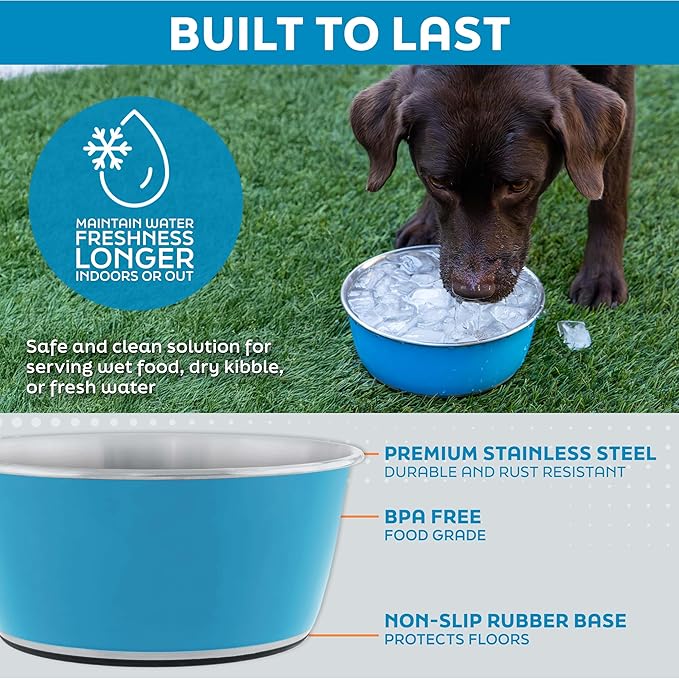 Master Pet Supply Stainless Steel Dog Bowls Set of 2 (128 Oz Each) with Non-Slip Rubber Base - Aqua Sky - Basic Dog Food Bowl Water & Food Bowls for Small Medium Large Dogs & Cats, Metal Dish