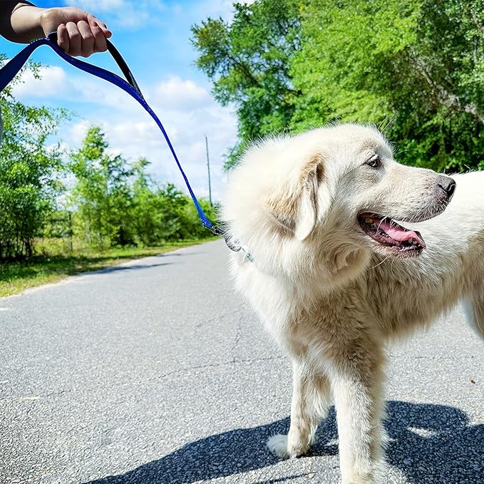 Joytale Dog Leash Heavy Duty for Large Dogs that Pull, Double Handle for Traffic Control, Double-Sided Reflective Leashes for Large Medium Dogs Night Safety, 6FT, Royal Blue