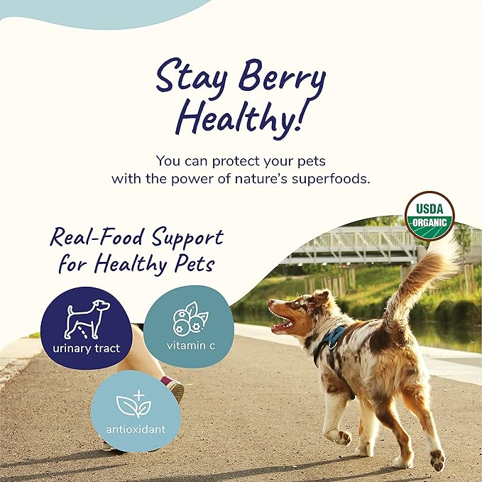 kin+kind Pet Vitamins and Supplements - Immune Support Supplement for Dogs & Cats - Natural Dog Supplements & Cat Supplements w/Organic Ingredients for Healthy Immunity - Made in USA - 4 oz (Medium)
