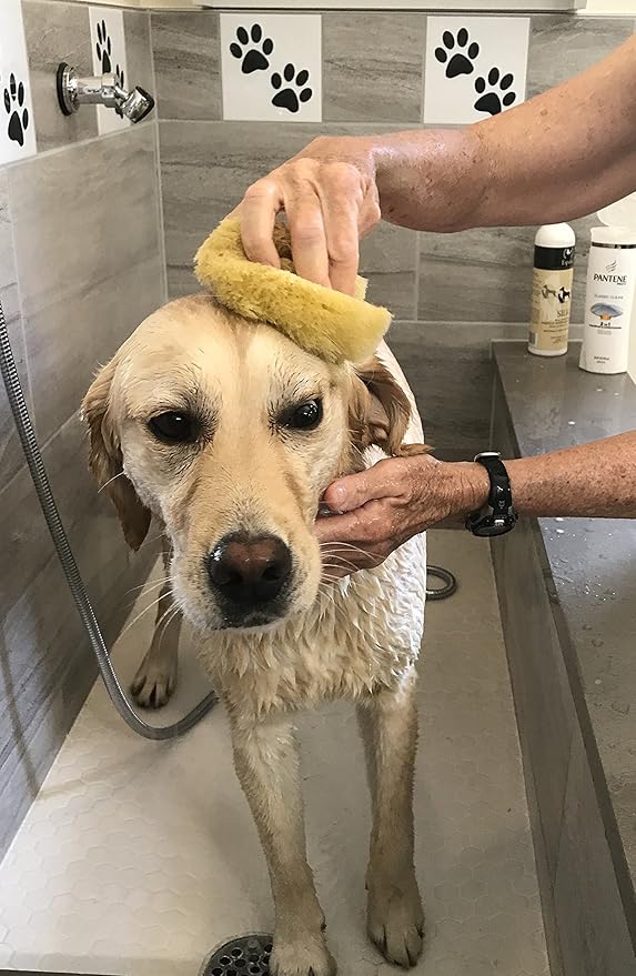 Sea Sponges for Dogs - Luxury Canine Bath Care, for Pet Grooming, Soft & Gentle Pampering