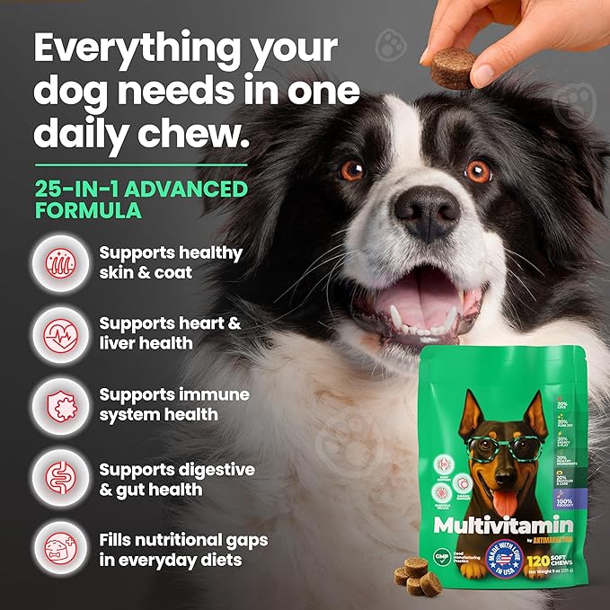 Dog Multivitamin Chewable Dog Vitamins and Supplements with Glucosamine, Probiotics & Omega – 120 Dog Vitamins Multivitamin for Skin, Coat, Joint & Immune Health