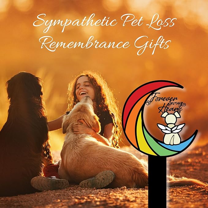 Rainbow Bridge Memorial Grave Marker – 12in Angel Pet Grave Tribute, Weatherproof Loss Gift with Colorful Moon Design, Garden Decoration for Rainbow Bridge Dog Lovers
