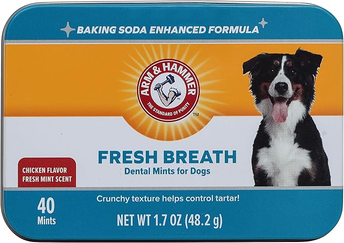 Arm & Hammer for Pets Dog Dental Breath Mints with Baking Soda, Chicken Flavor Dental Treats to Help Freshen Dog Breath and Support Oral Care, Fresh Mint Scent, 1.7 Oz