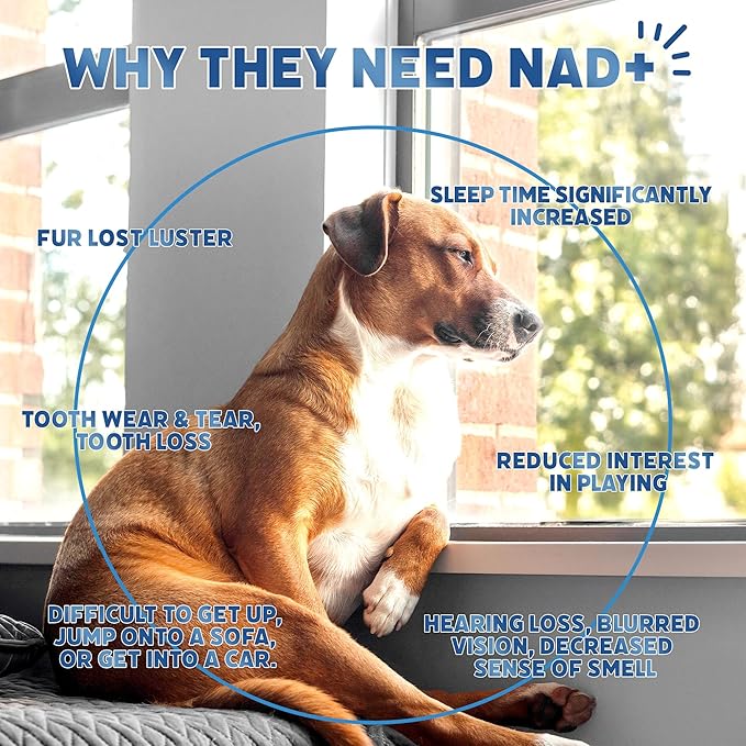 NAD+ Precursor & Senior Dog Multivitamin Supplement, 90 NMN Supplements for Longevity, Anti-Aging & Energy, Dog Daily Support Vitamins Chews for Hip & Joints, Skin & Coat, Chicken