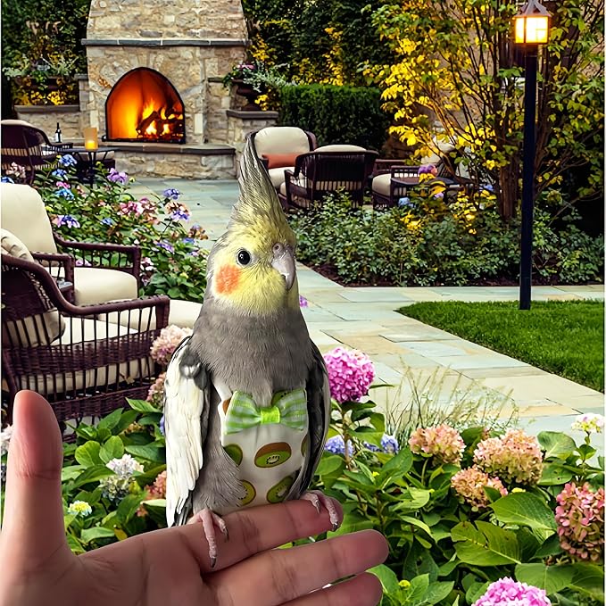 5 Pcs Bird Diapers Bird Harness Flight Suits Diapers Reusable Parrot Nappy with Waterproof Inner Layer Washable Cute Urine Wet Suit for Cockatiel Budgie Conure Macaw Parakeet Lovebird,M